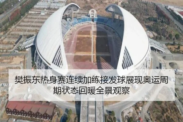 樊振东热身赛连续加练接发球展现奥运周期状态回暖全景观察